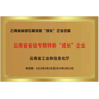 云南省專精特新成長(zhǎng)型企業(yè)榮譽(yù)